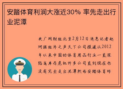 安踏体育利润大涨近30% 率先走出行业泥潭